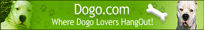Dogo.com is a site by and for Dogo lovers! Here, you'll find lots of useful information about this powerful breed, as well as a Photo Gallery, contact information to Dogo Breeders, Dogo Rescue Organizations and more.