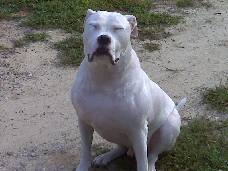 3yr old just had his birthday