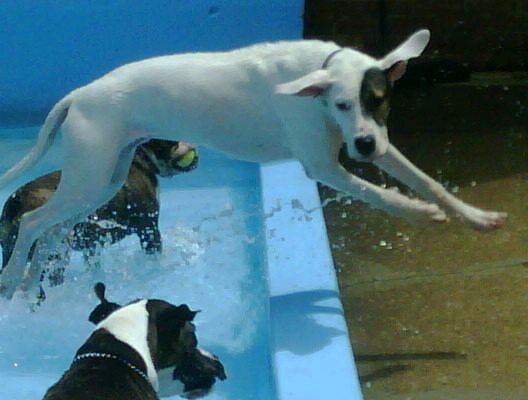 She is quite the jumper!!