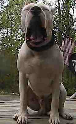 tiered to taking pictures