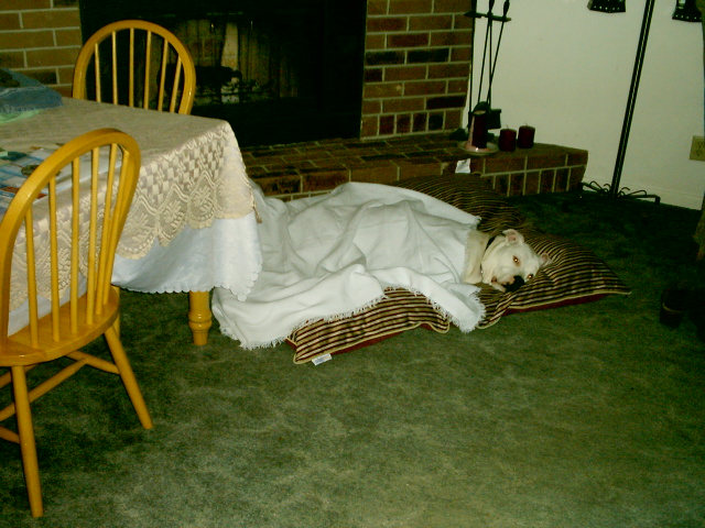 Don't hate me because I am beautiful and I am living the life of rich and famous and spoiled rotten.  That' found girls from Plant City are raised.