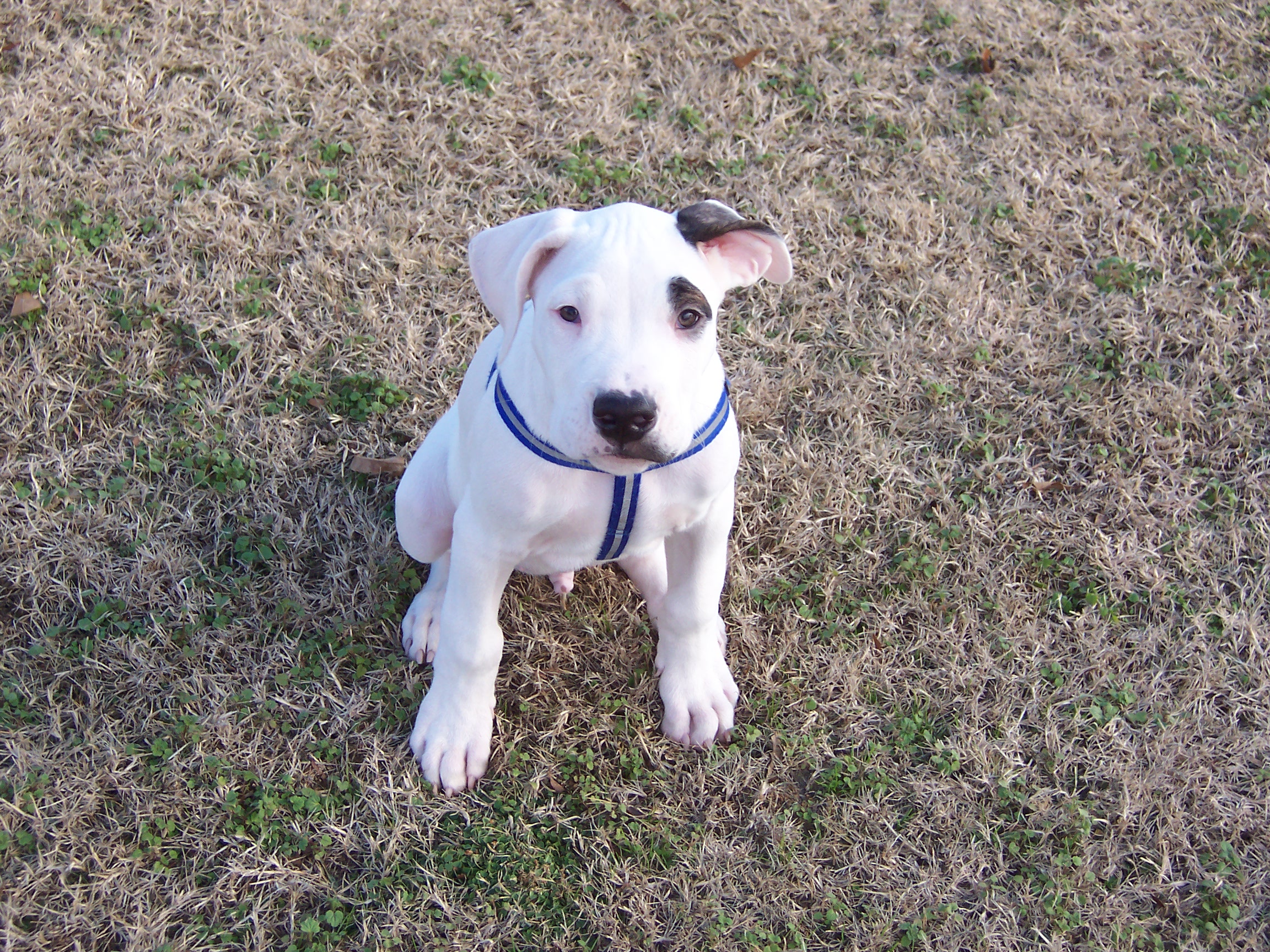 he was about 4 months right here