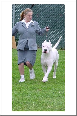 This is belle just about four months old!